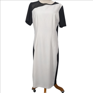 Tahari Sheath Dress Size 12 Black Cream Business